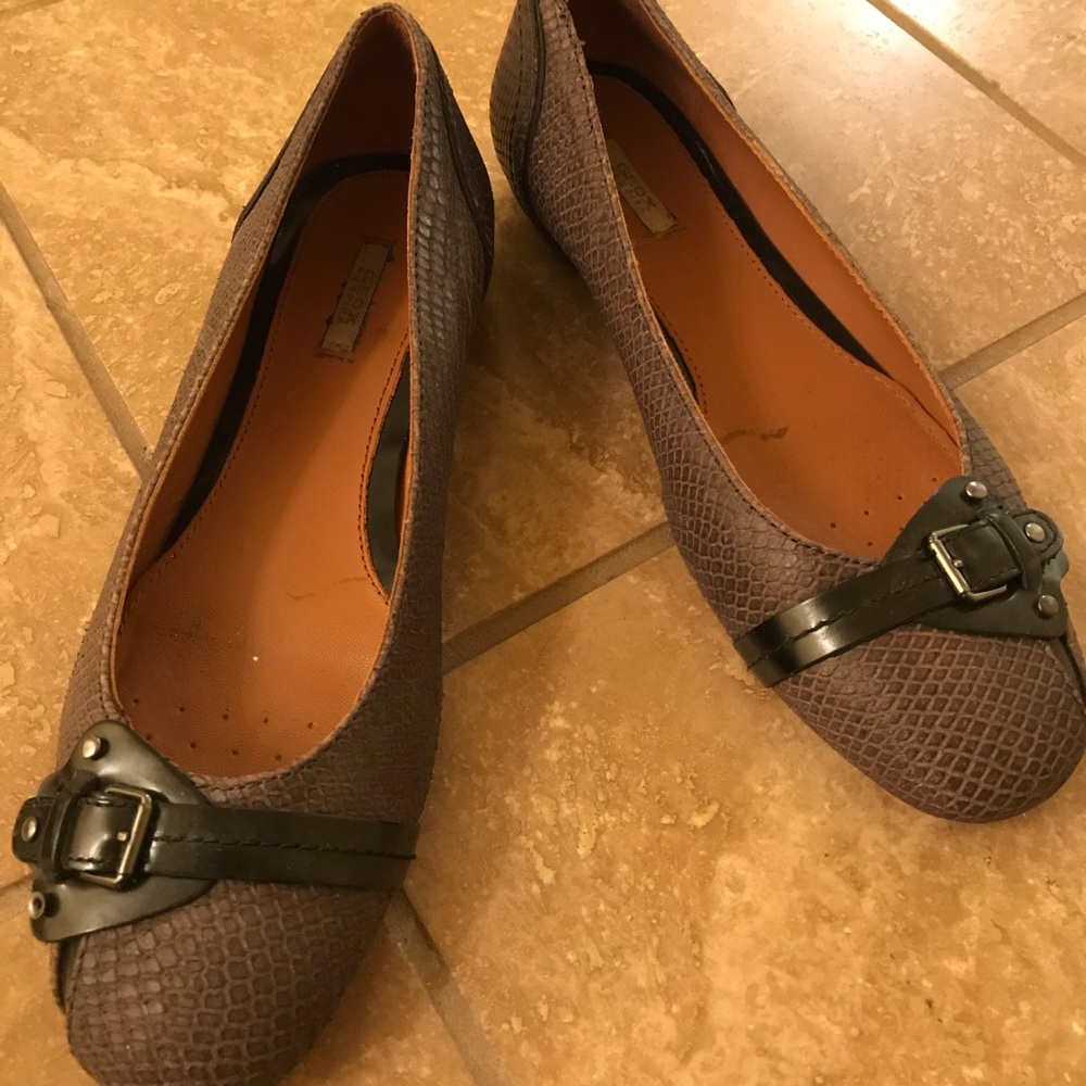 Geox flats
